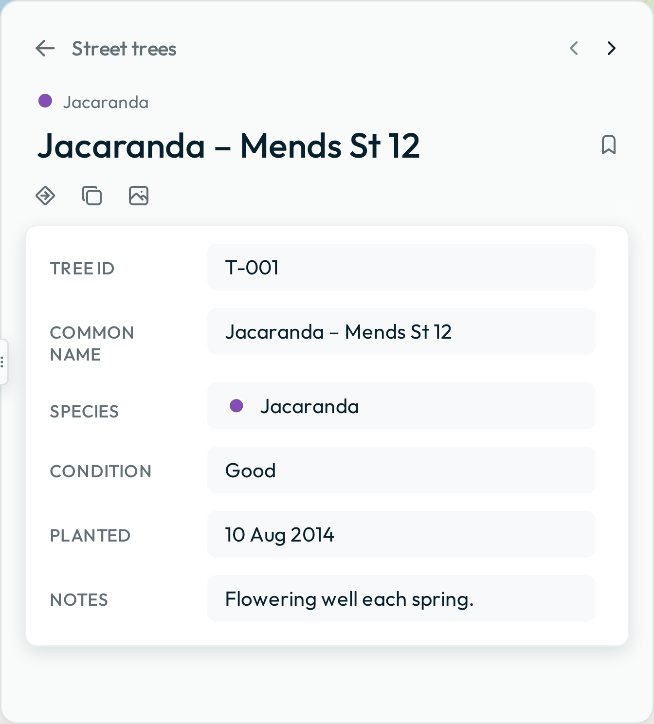 One tree selected, with the feature detail view open in the Data panel: its title, buttons and fields.