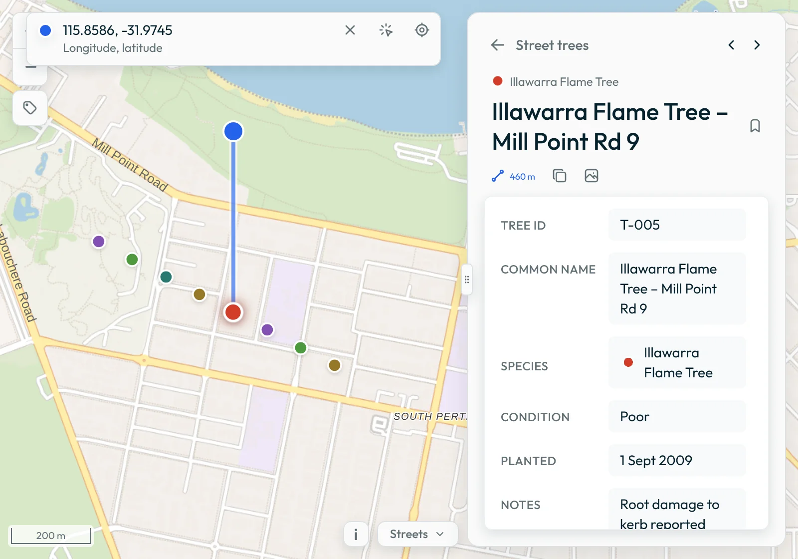 A straight line drawn on the map from the pin at the set location to the selected tree, with the tree's details open in the Data panel.